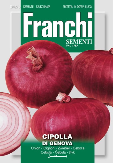 Onion Genova (Allium cepa) 1000 seeds